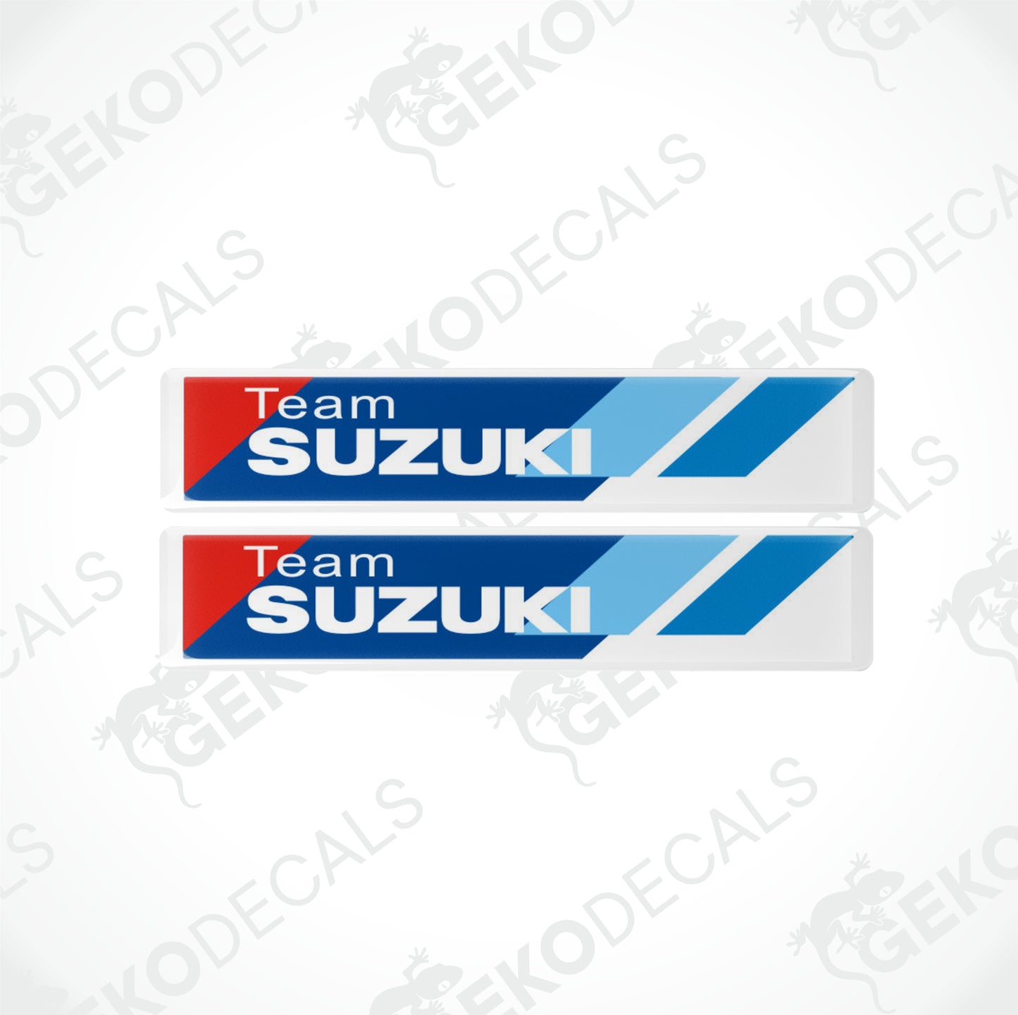 TEAM SUZUKI