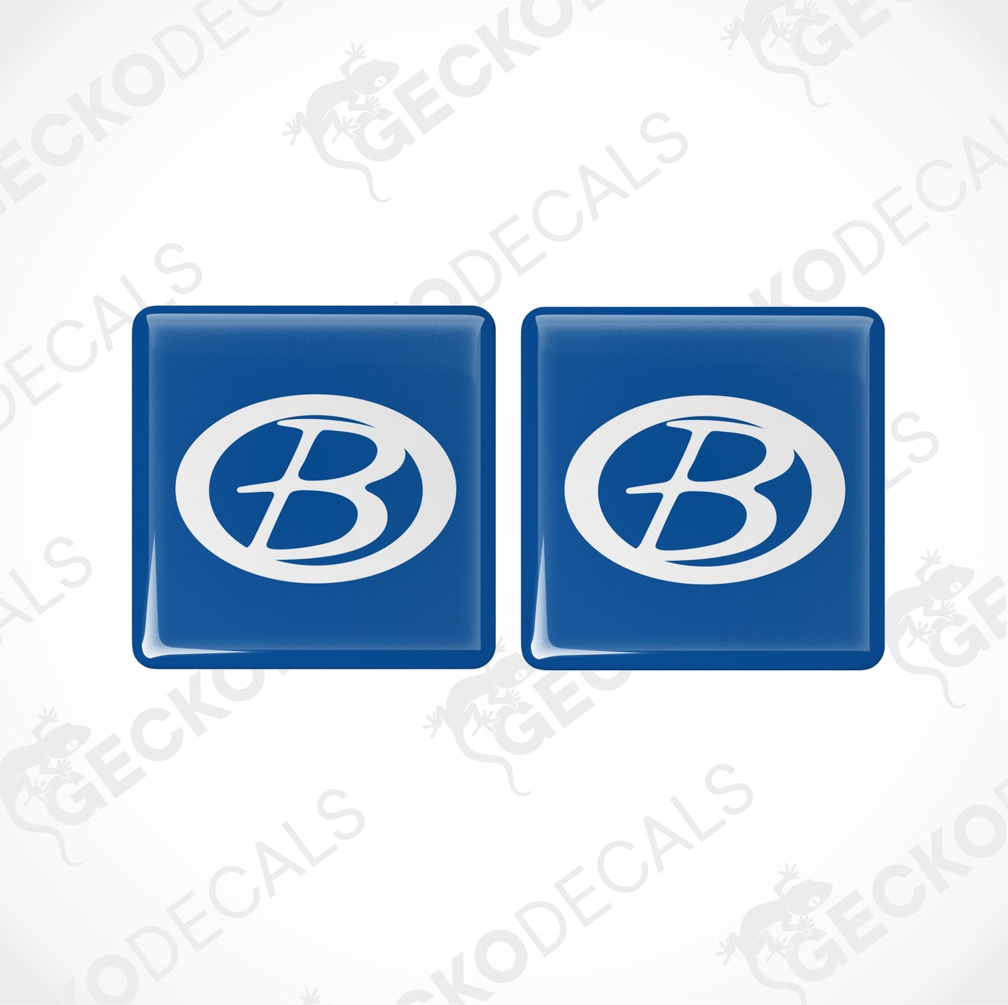 BUCCANEER EPOXY DECALS
