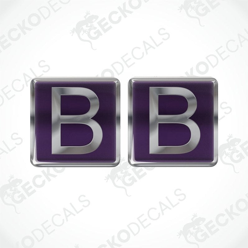 A set of two purple vinyl stickers with a polyurethane coating, branded with the word 'BUCCANEER'.