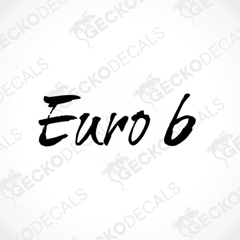 Black Euro 6 die-cut vinyl decal featuring brush-style text