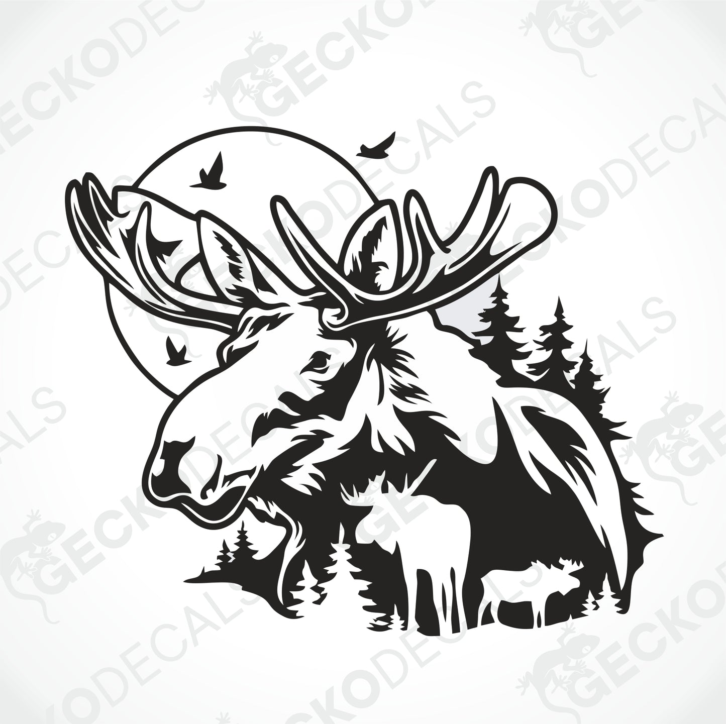 MOOSES IN NATURE