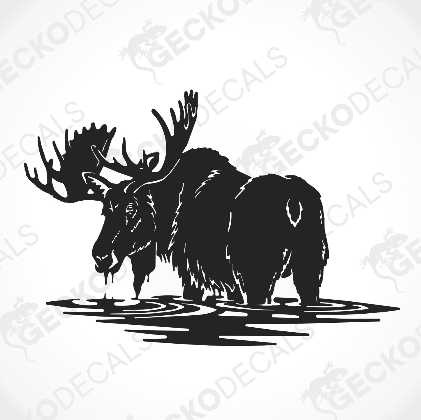 MOOSE IN THE WATER