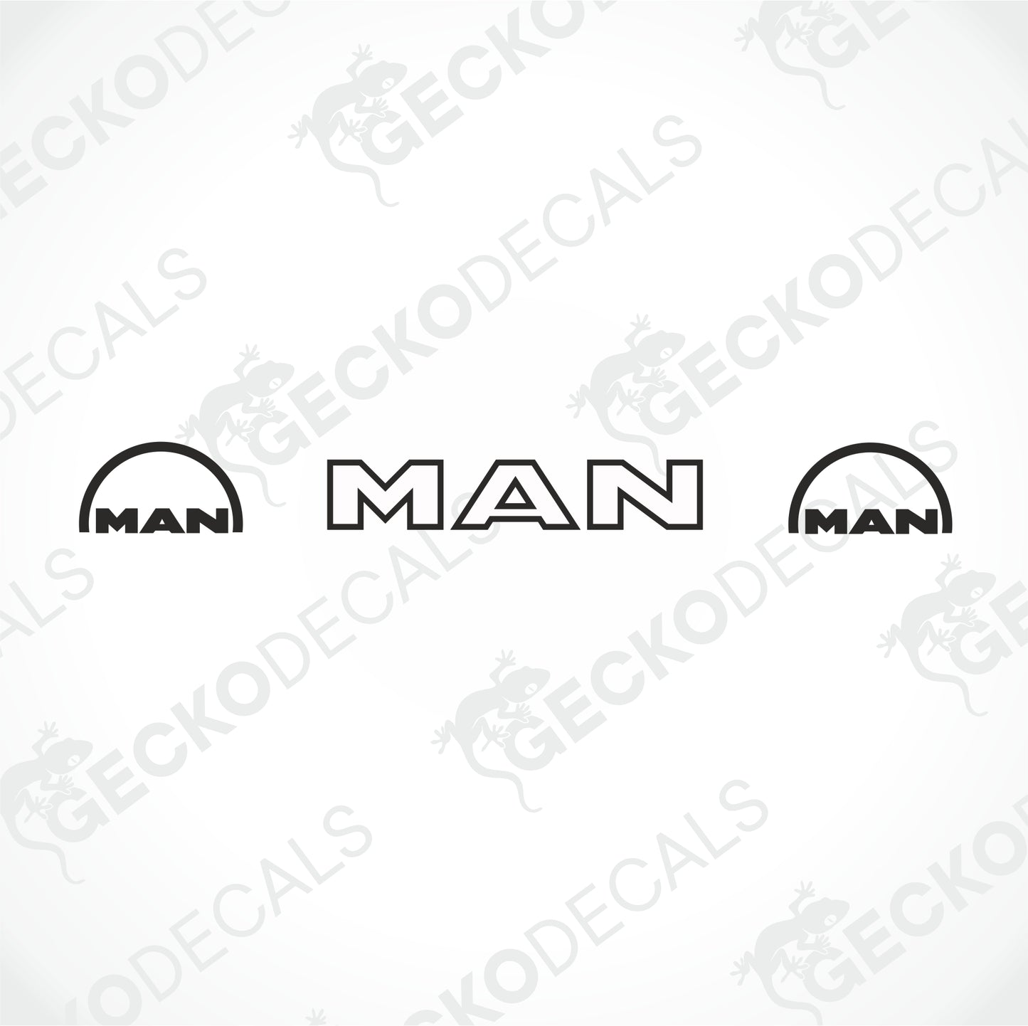 MAN WINDSCREEN