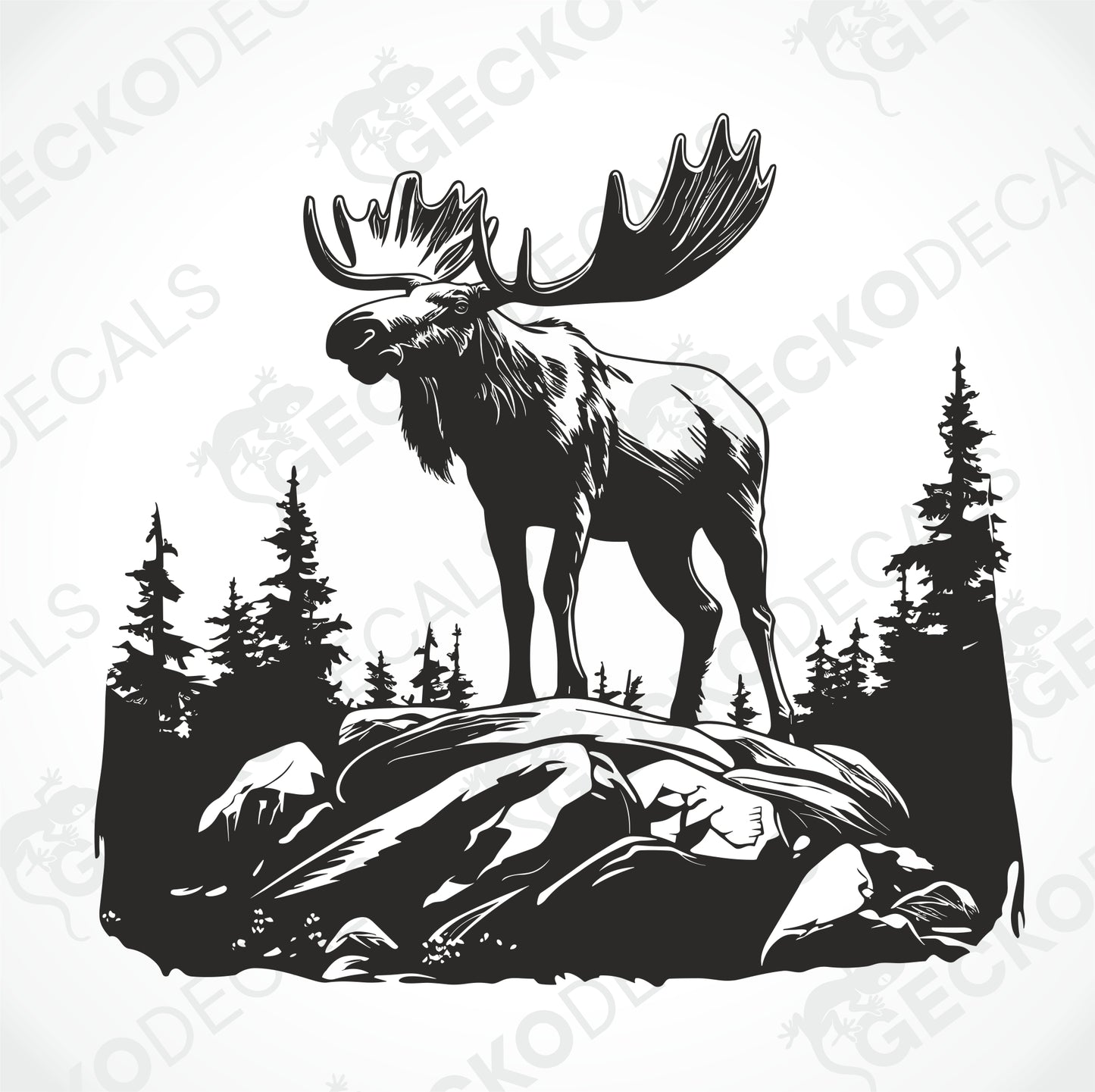 MOOSE ON THE ROCK