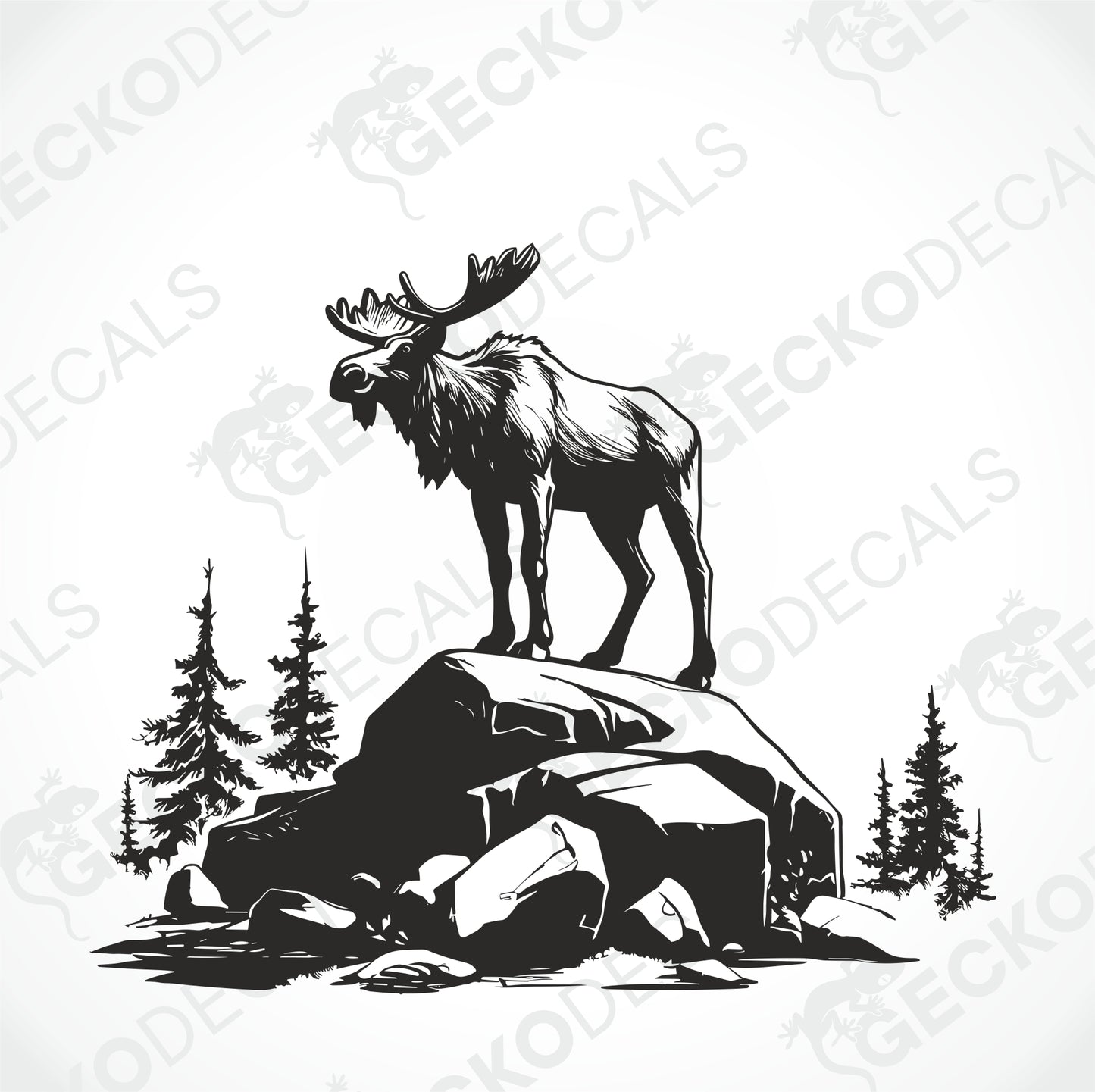 MOOSE ON THE ROCK