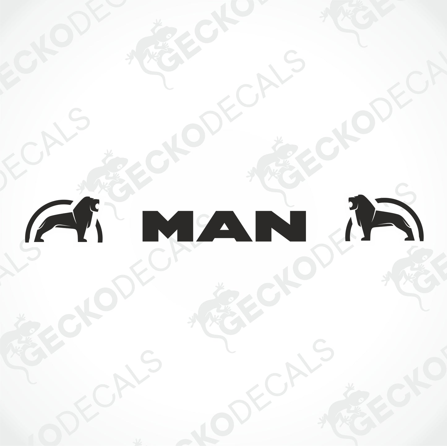 MAN WINDSCREEN