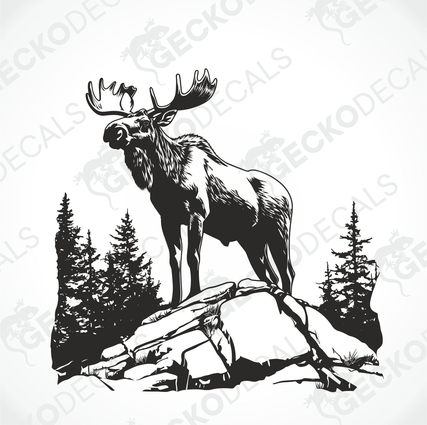 MOOSE ON THE ROCK