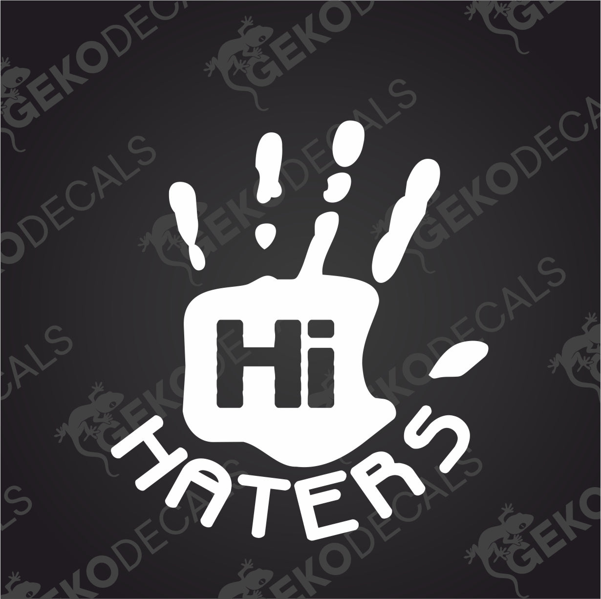 HI HATERS