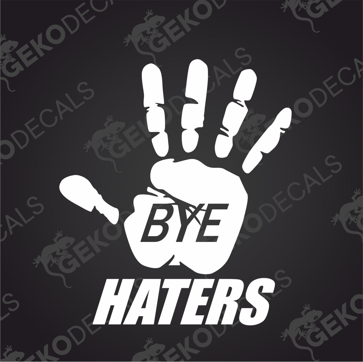 HEJ DÅ HATERS