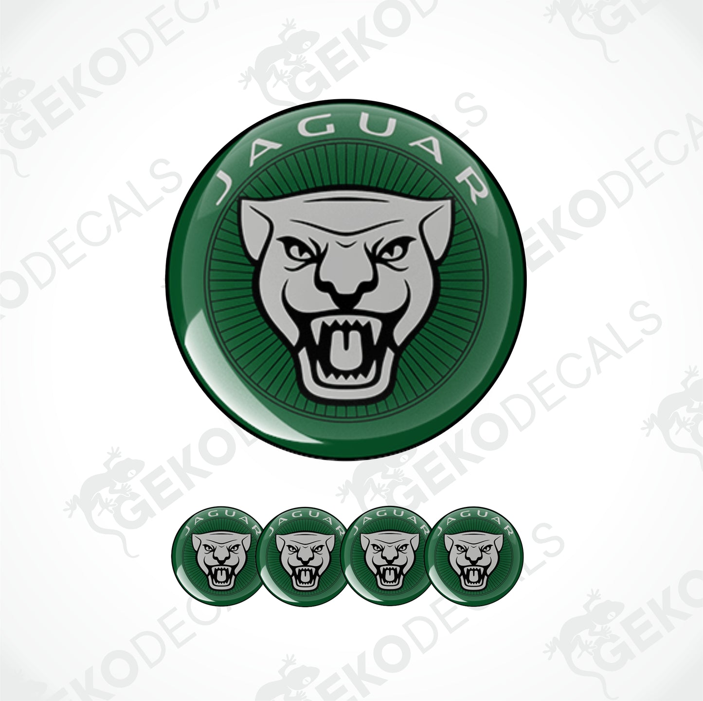 JAGUAR