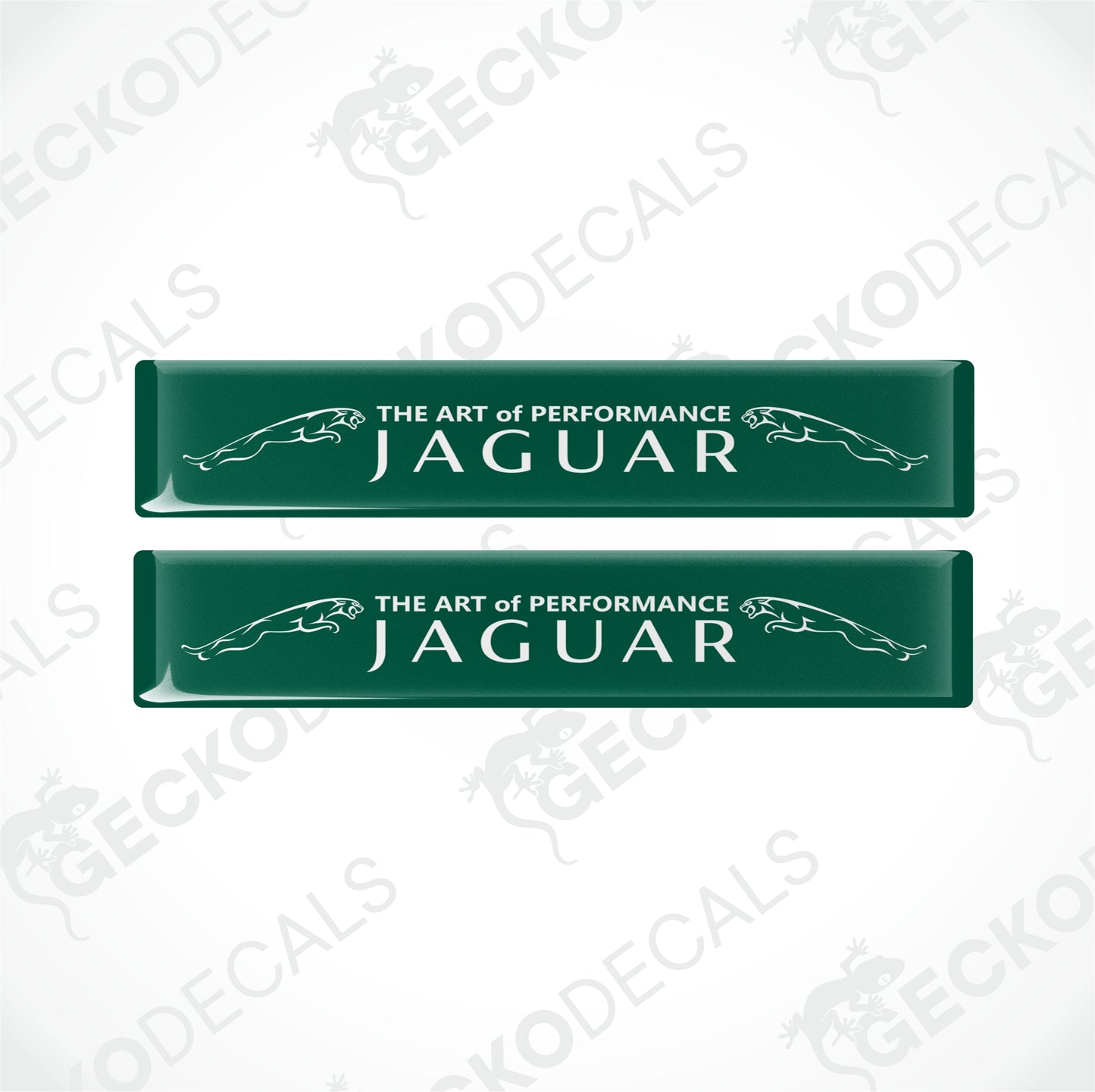 THE ART OF PERFORMANCE JAGUAR