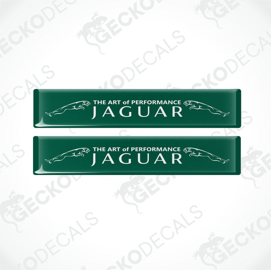 THE ART OF PERFORMANCE JAGUAR