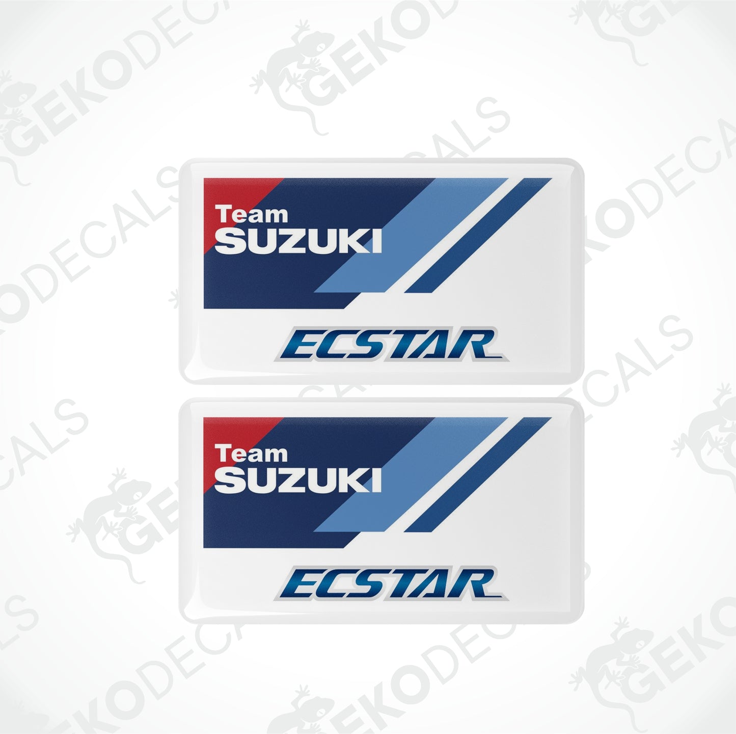 TEAM SUZUKI ECSTAR