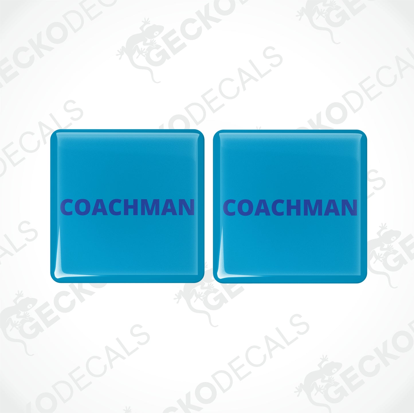COACHMAN EPOXY DECALS