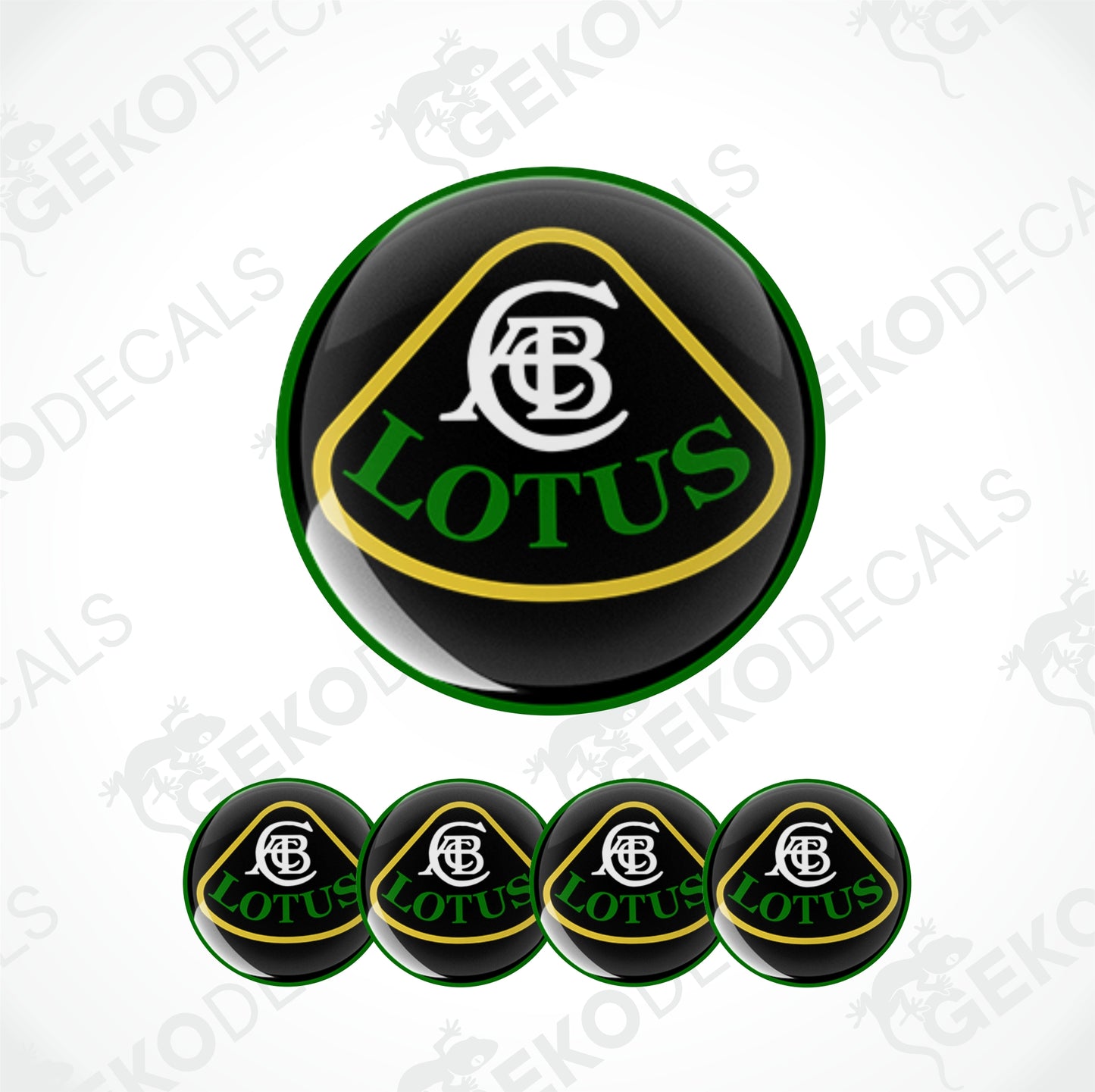 LOTUS