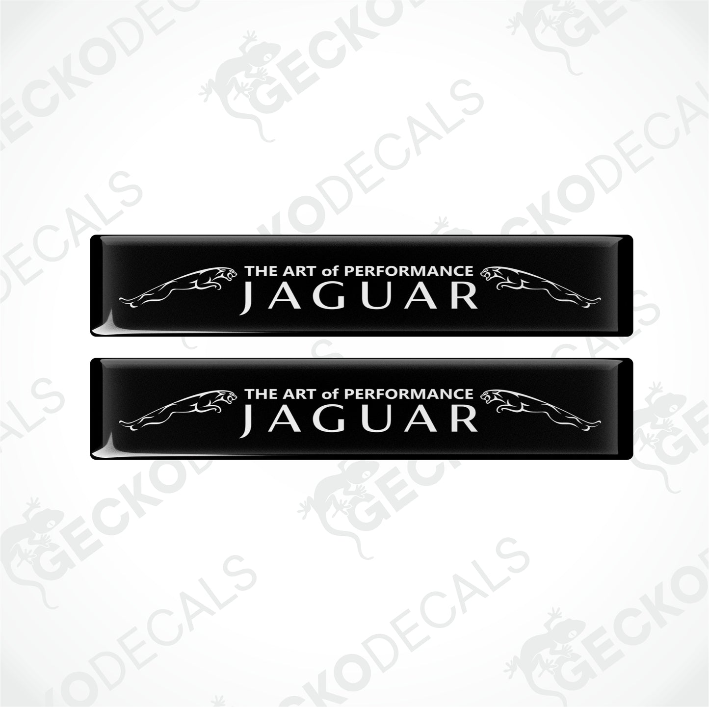 THE ART OF PERFORMANCE JAGUAR