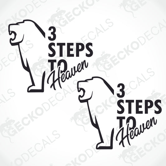 MAN 3 STEPS TO HEAVEN