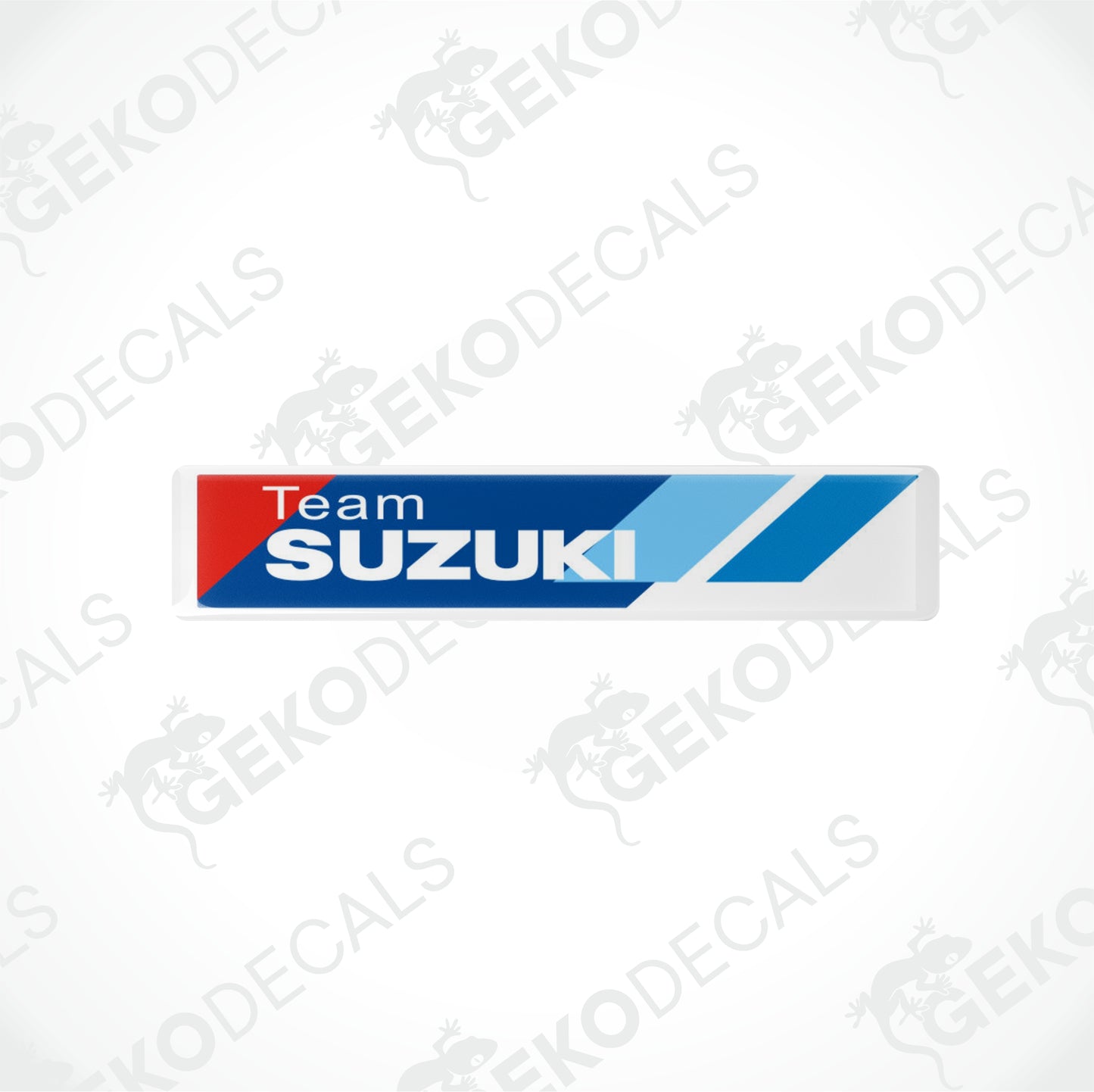 TEAM SUZUKI
