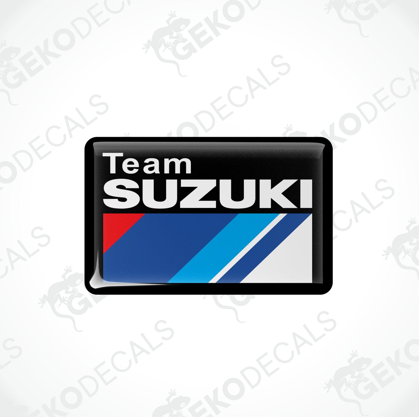 TEAM SUZUKI