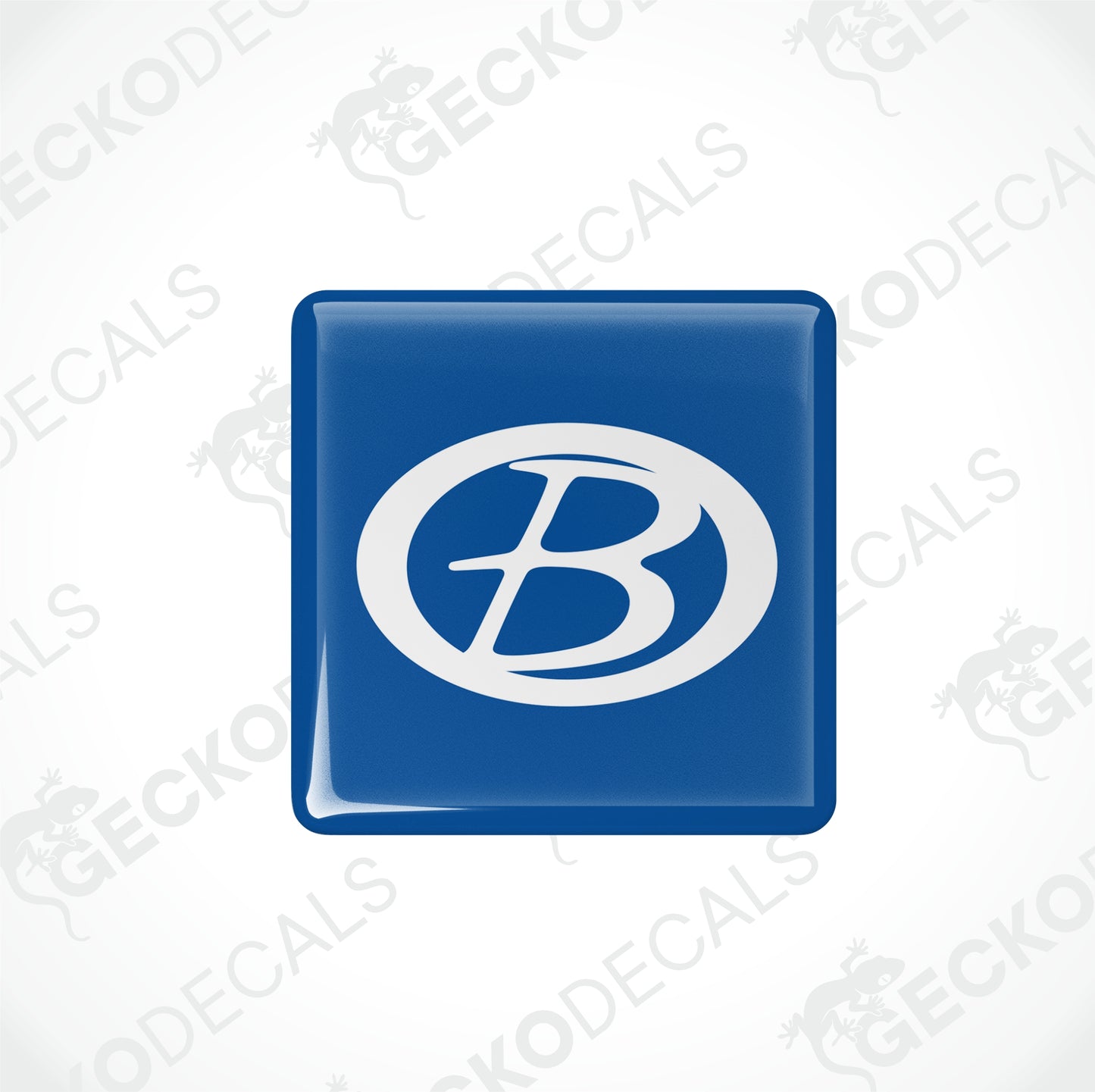 BUCCANEER EPOXY DECALS