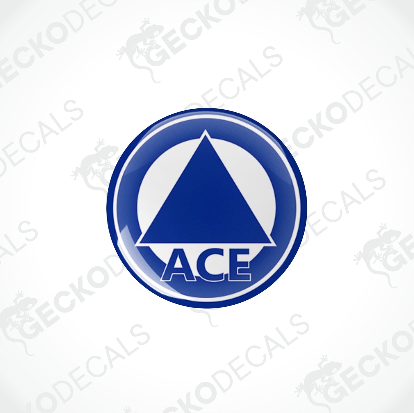 ACE CARAVAN EPOXY DECALS