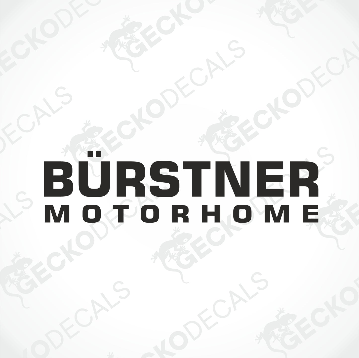 BÜRSTNER MOTORHOME