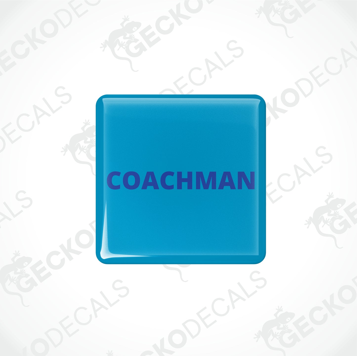 COACHMAN EPOXY DECALS