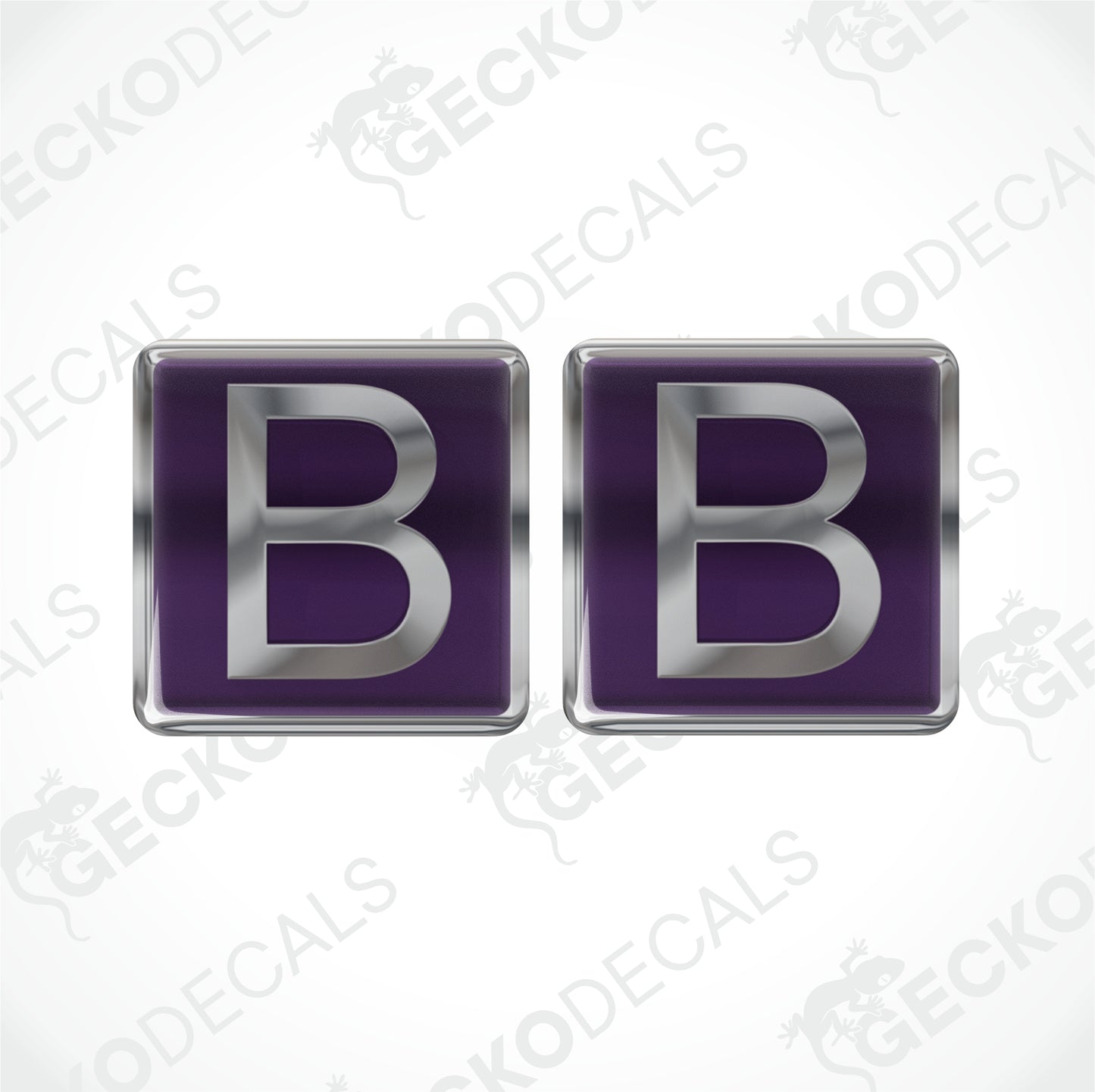 BUCCANEER EPOXY DECALS