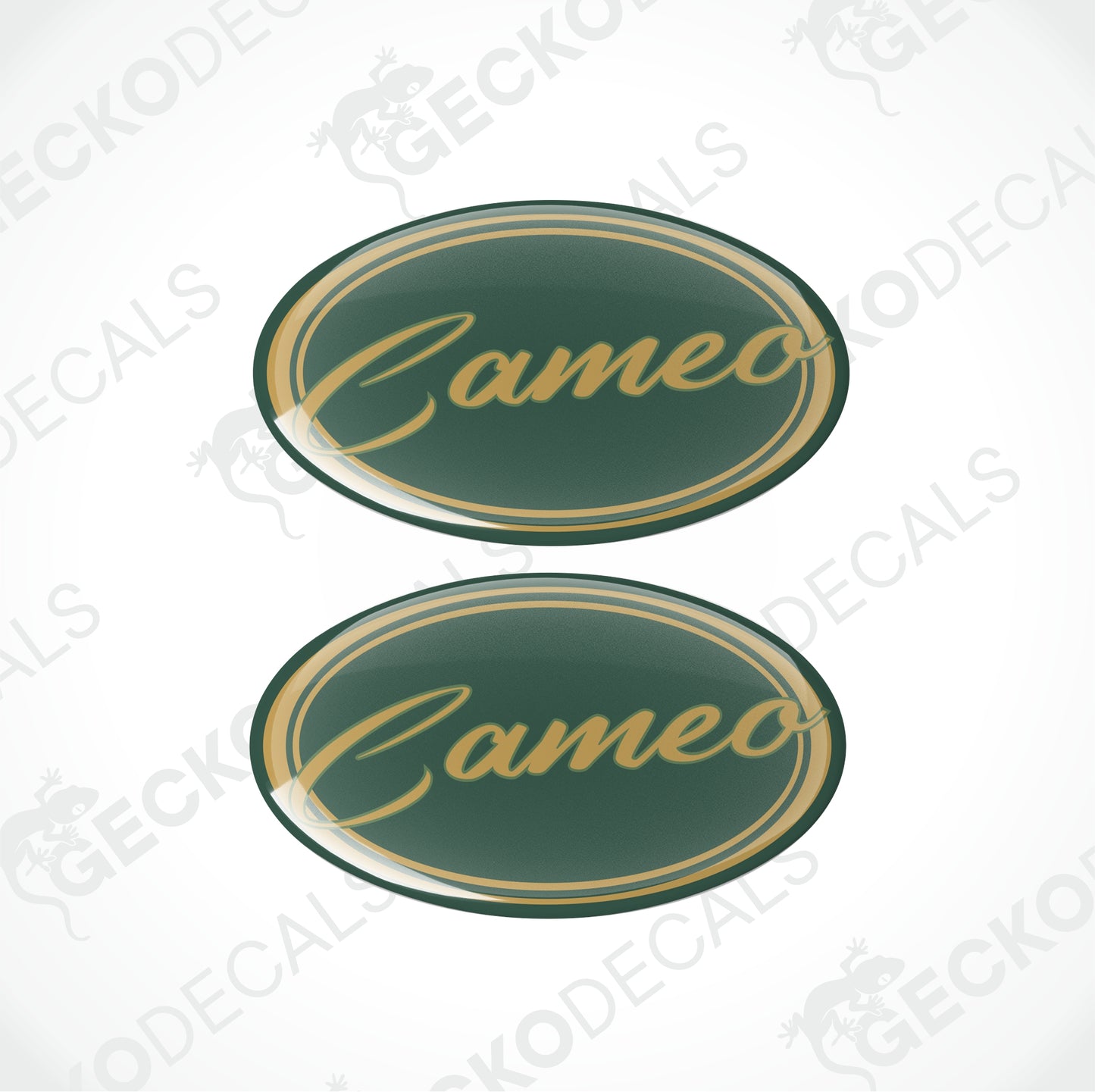 BESSACARR CAMEO EPOXY DECALS