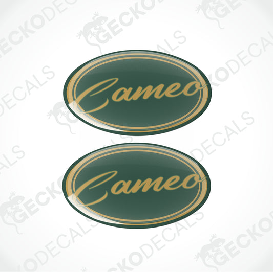 BESSACARR CAMEO EPOXY DECALS