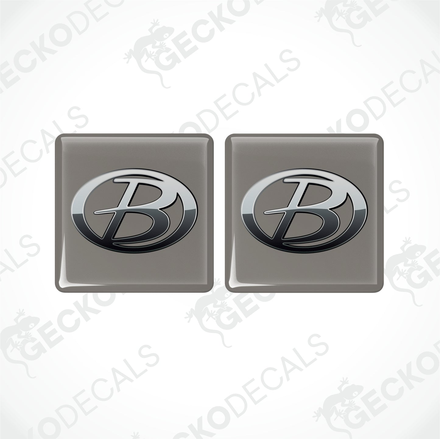 BUCCANEER EPOXY-DEKALER