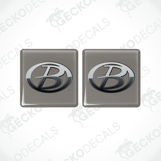 BUCCANEER EPOXY DECALS