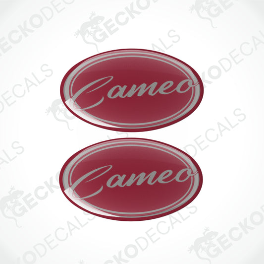 BESSACARR CAMEO EPOXY DECALS