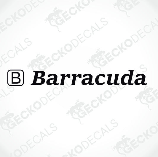 BUCCANEER BARRACUDA