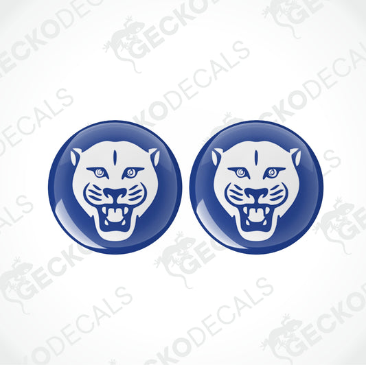 AVONDALE PANTHER CARAVANS EPOXY DECALS