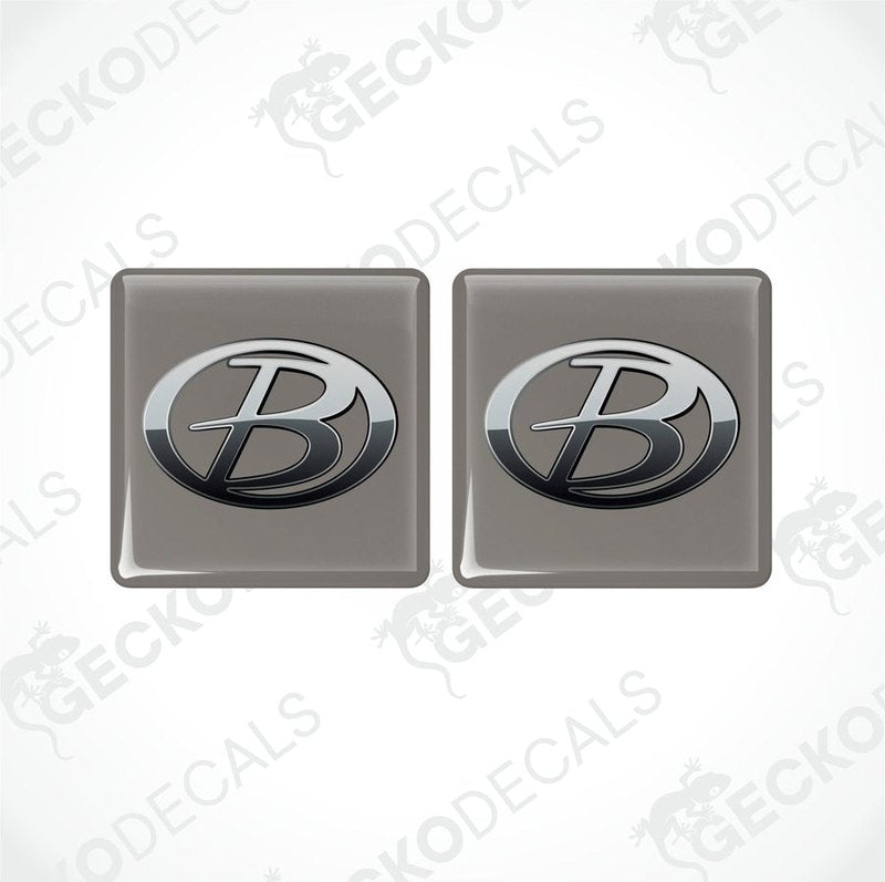 Set of two Buccaneer vinyl epoxy decals with domed finish