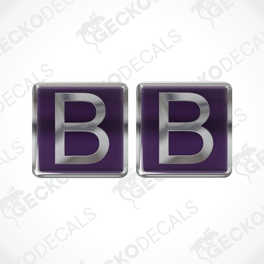 A set of two purple vinyl stickers with a polyurethane coating, branded with the word 'BUCCANEER'.