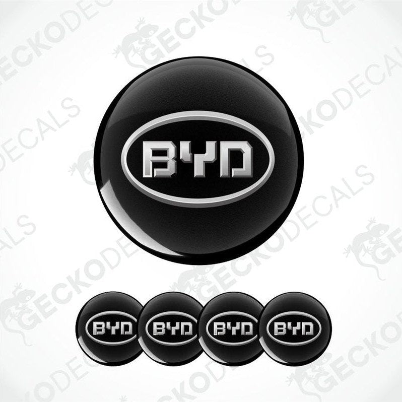 BYD logo and brand name on a white background