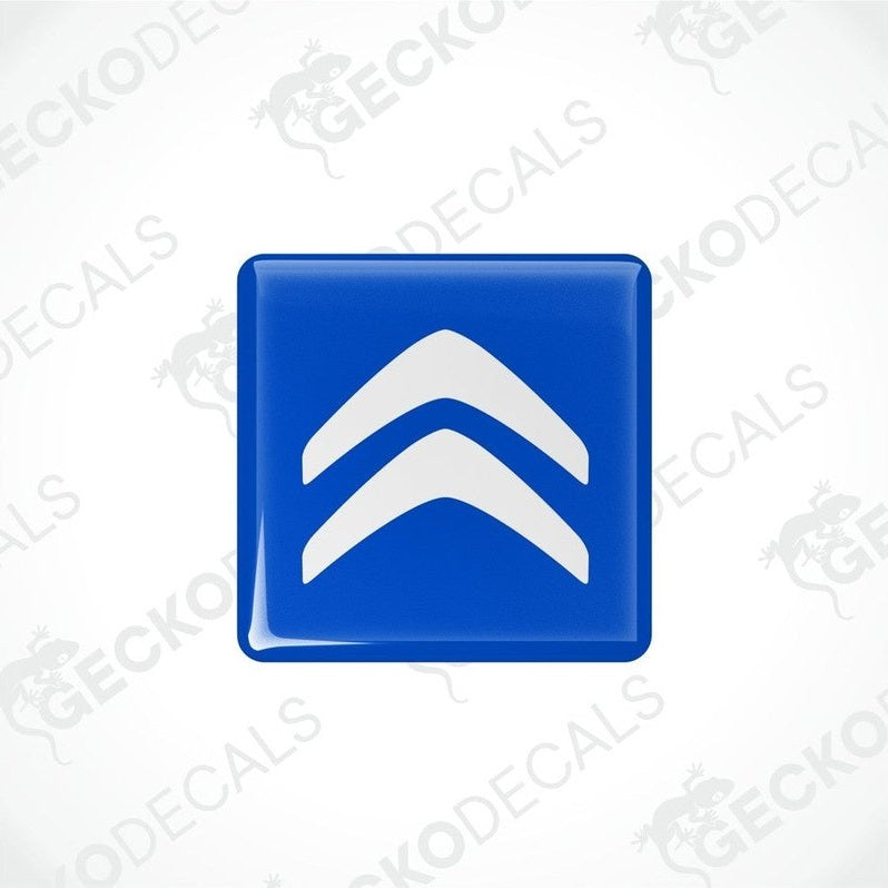 Blue vinyl stickers with white Citroen logo.
