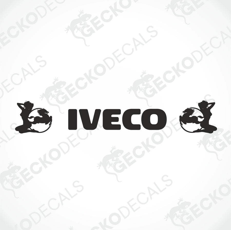 A front view of a truck windscreen with the IVECO logo displayed at the top.