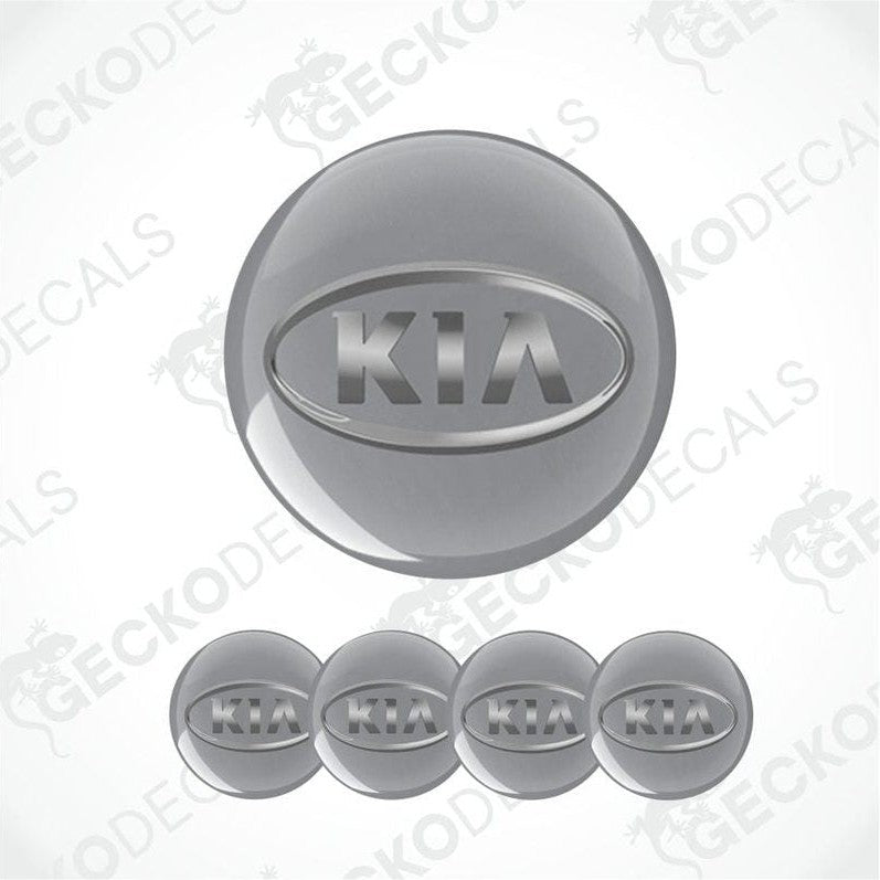 Silver Kia logo decal on a white background
