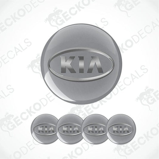 Silver Kia logo decal on a white background