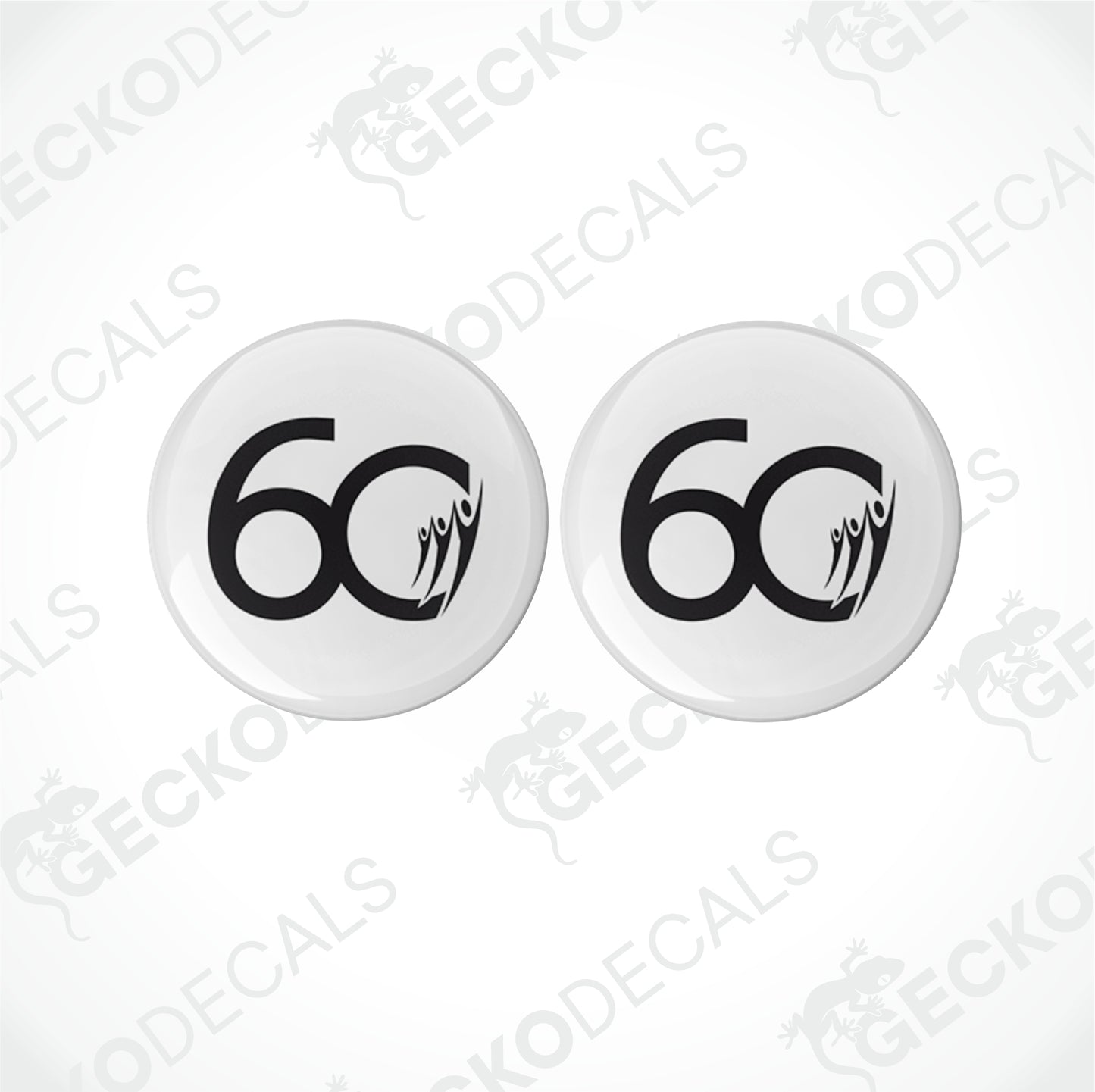 RAPIDO 60 YEARS AUTOMOTIVE EPOXY DECALS