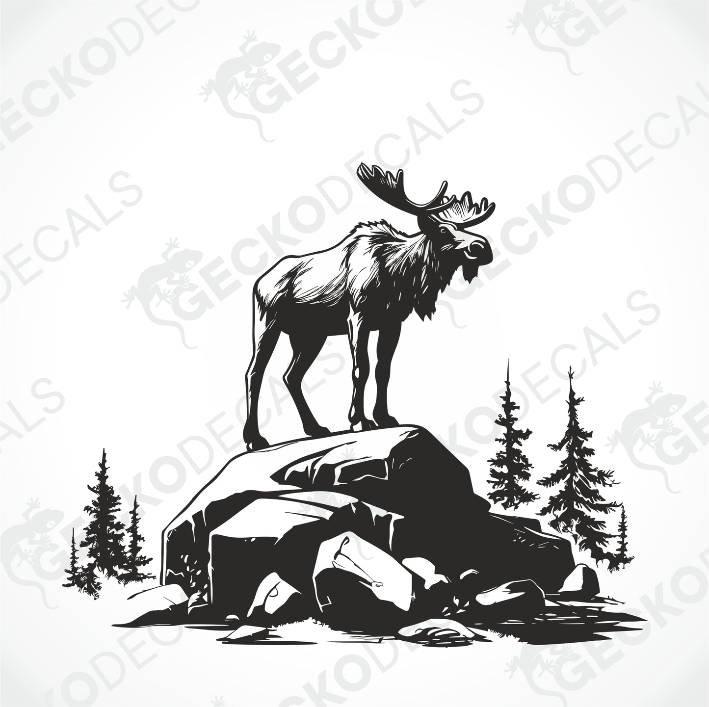 MOOSE ON THE ROCK