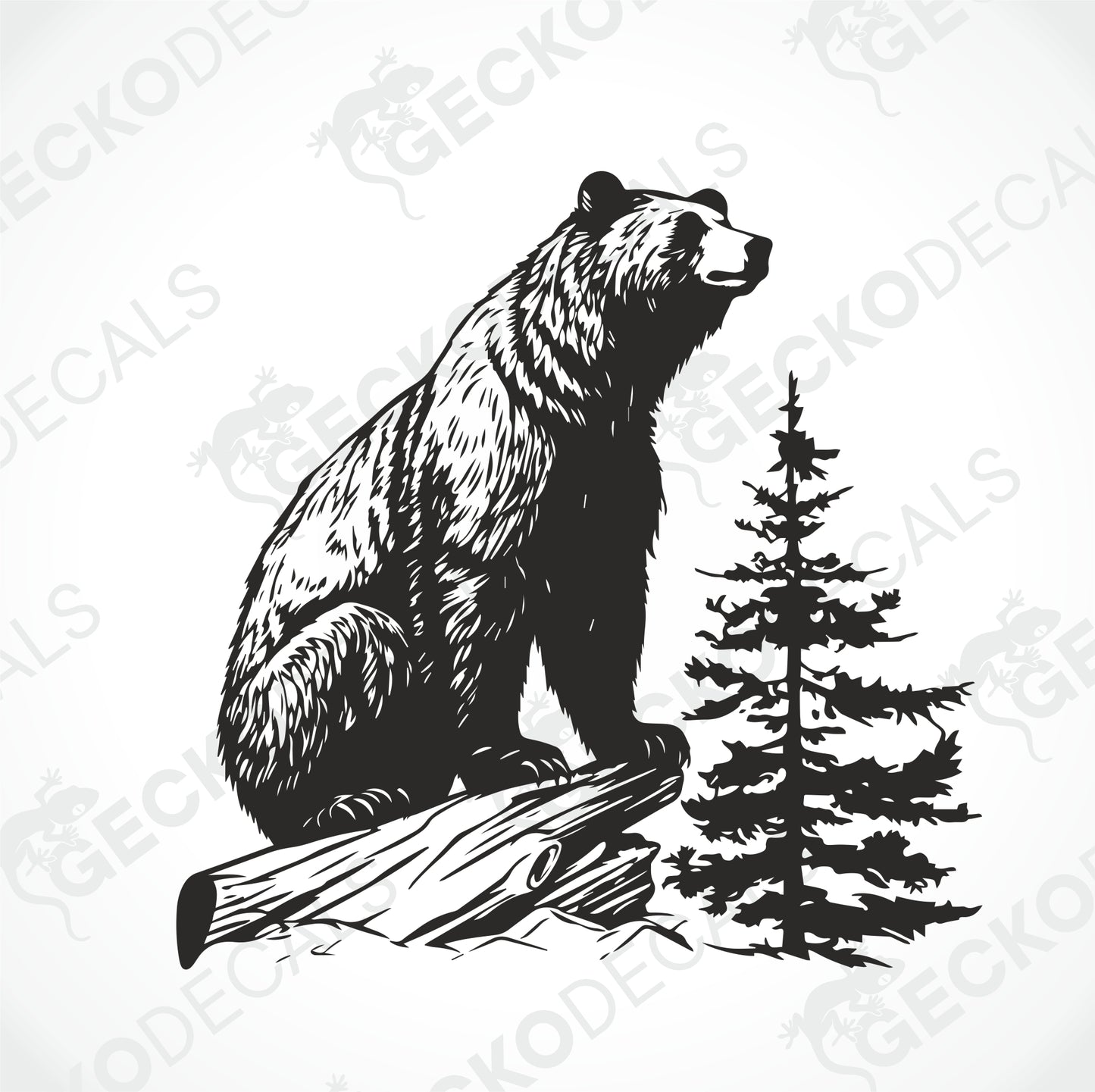 THE BEAR IS SITTING ON A STUMP