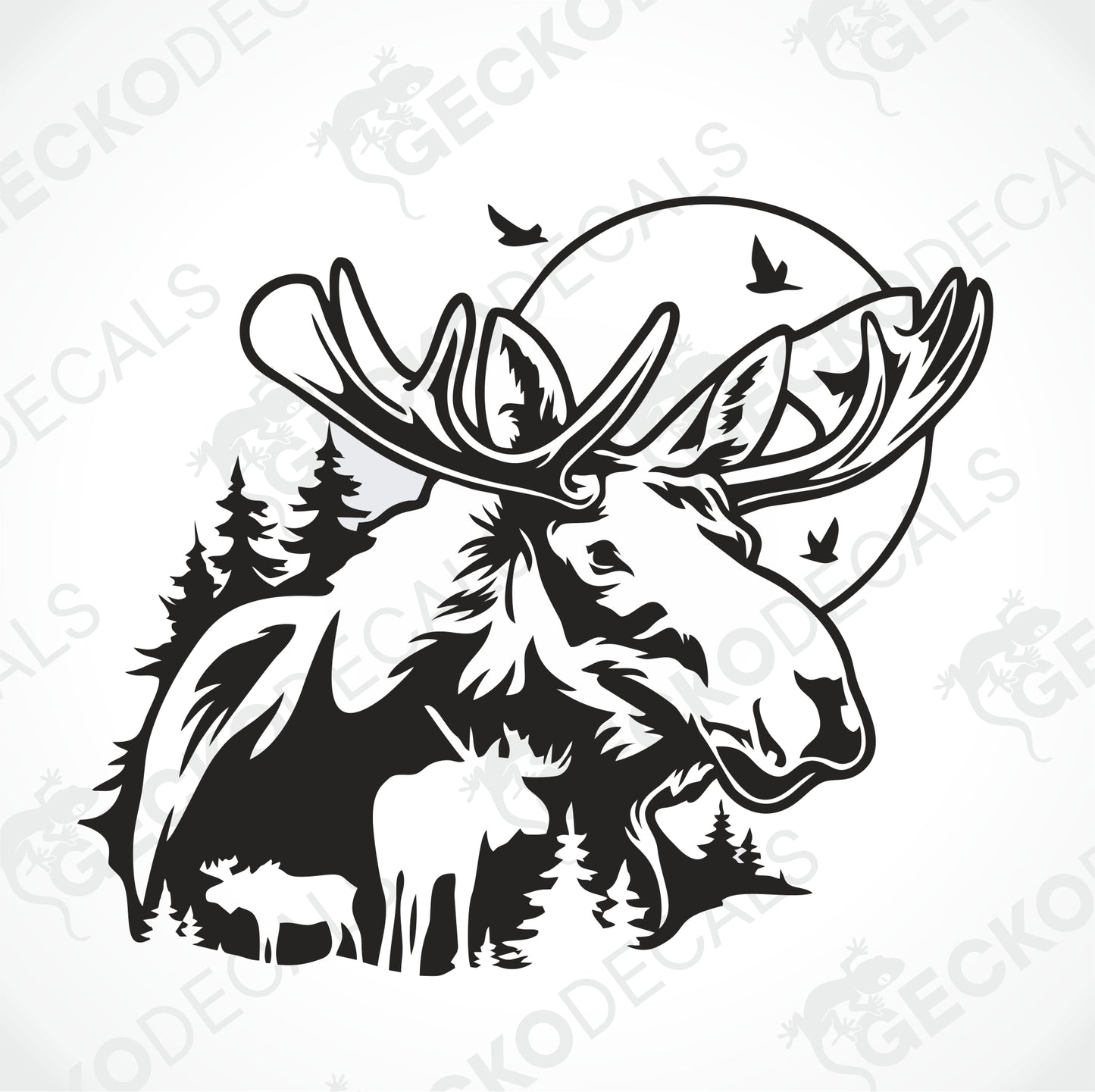 MOOSES IN NATURE