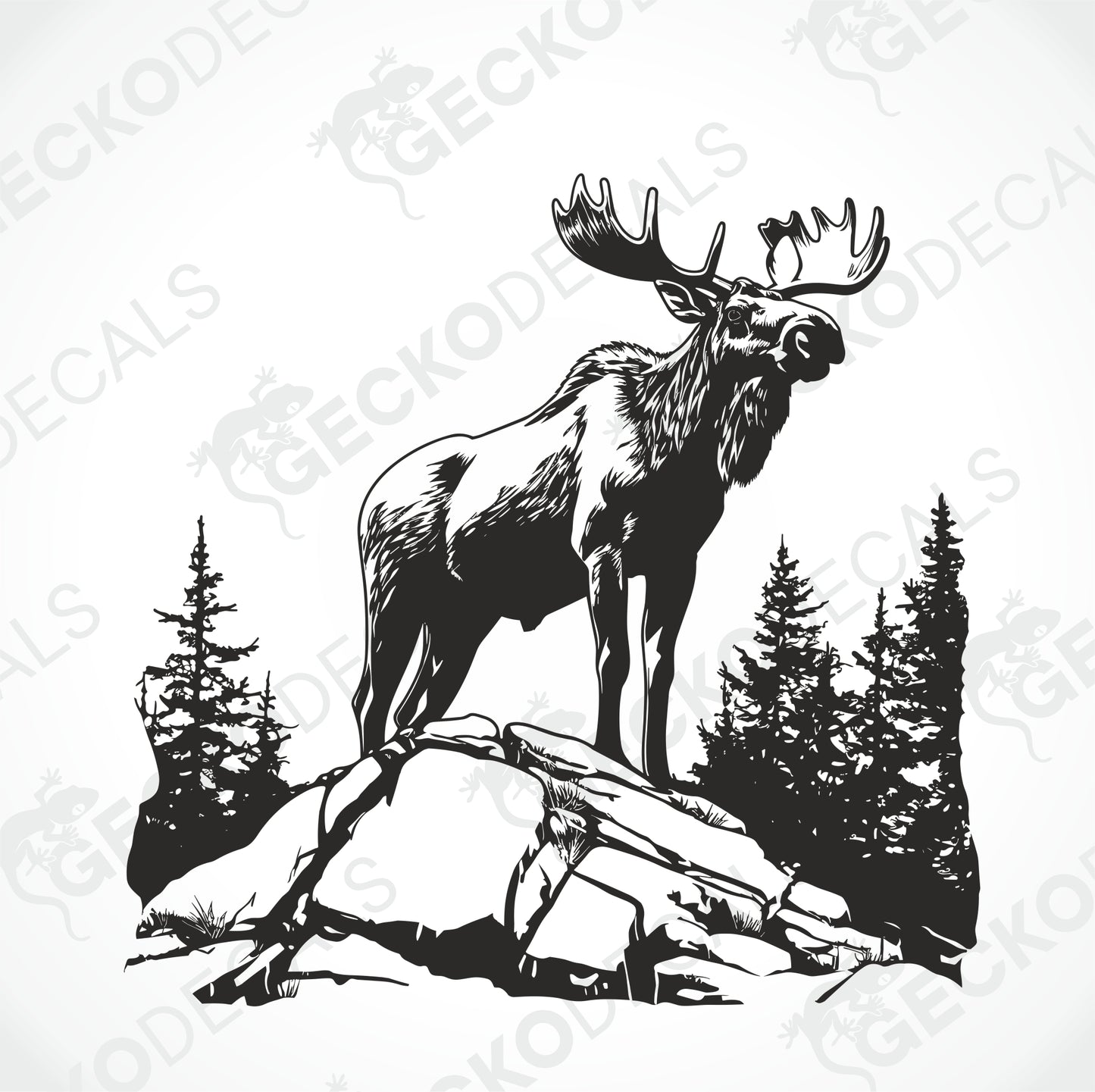 MOOSE ON THE ROCK