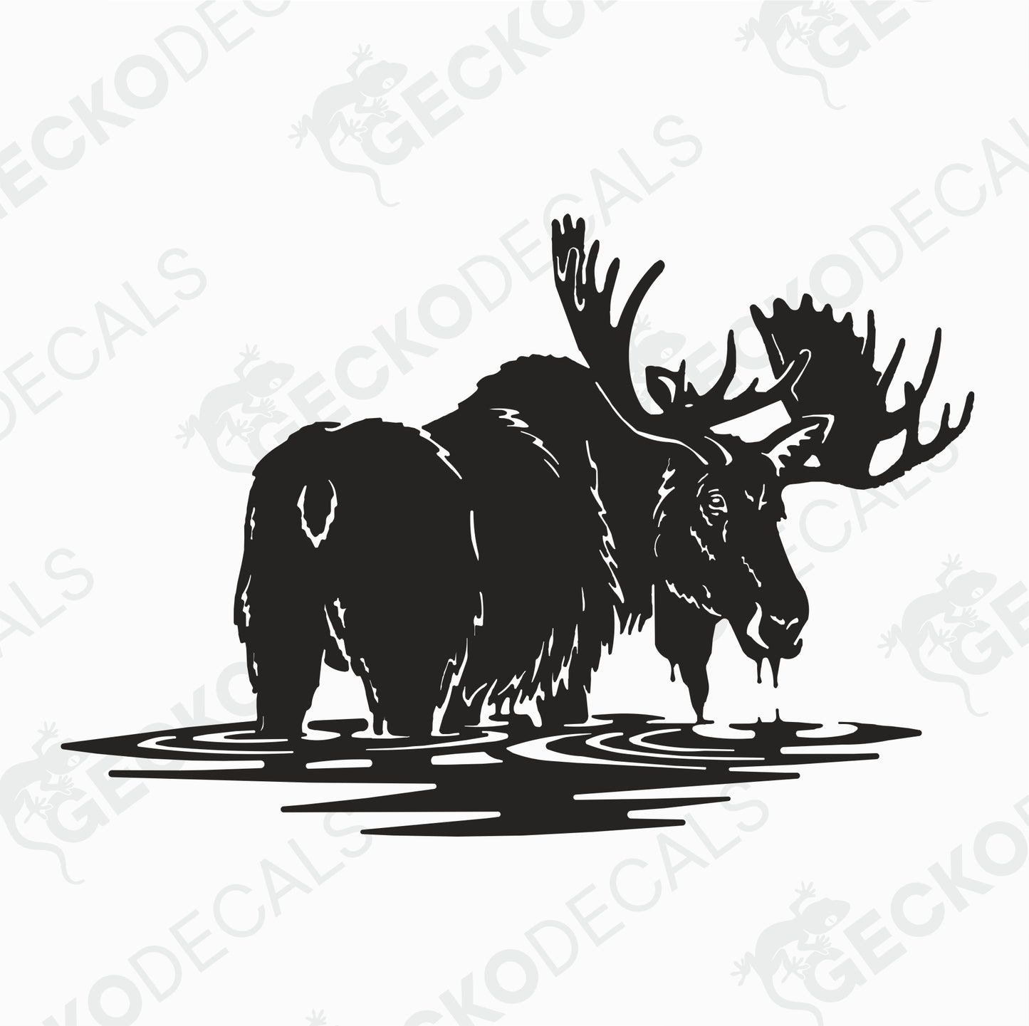 MOOSE IN THE WATER