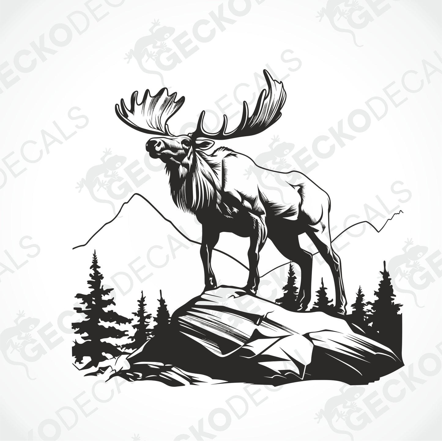 MOOSE ON THE ROCK