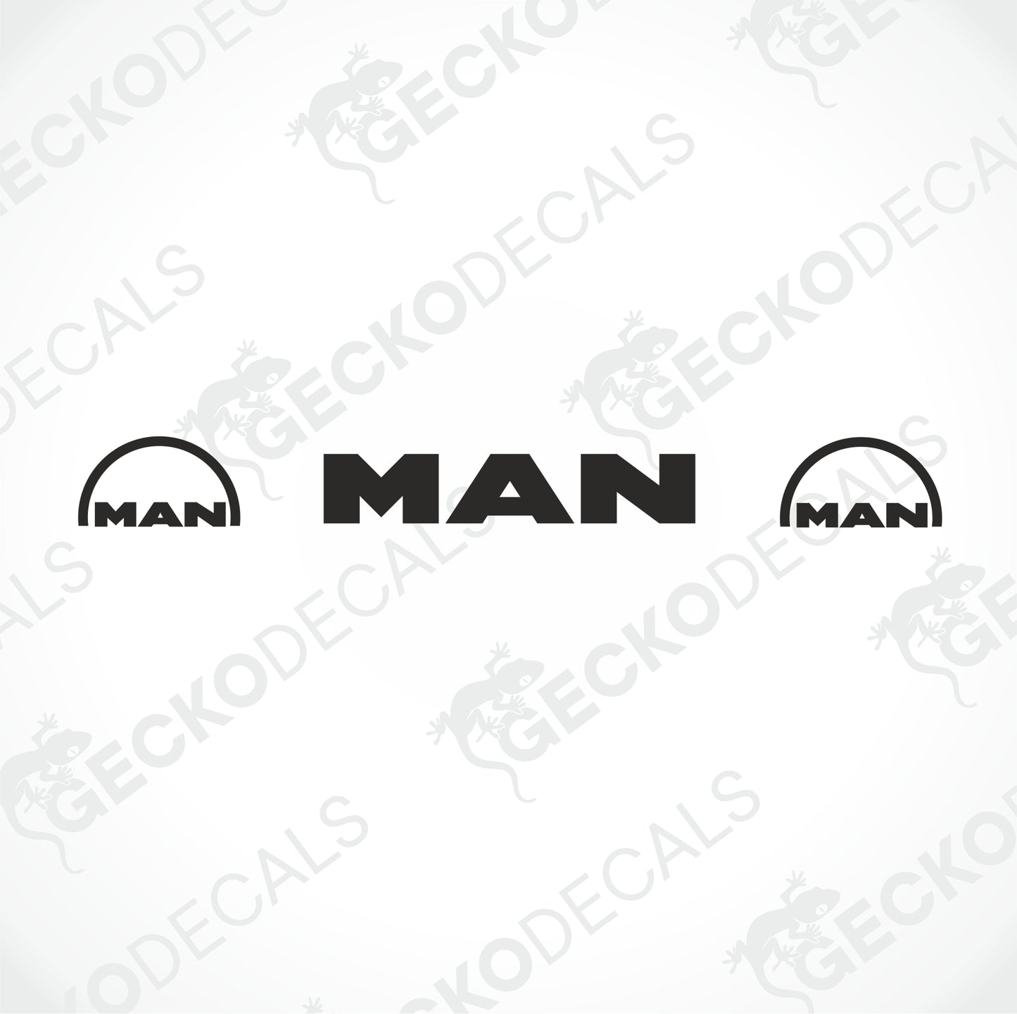 MAN WINDSCREEN